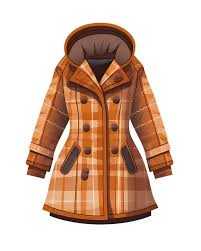 پالتو یا کاپشن